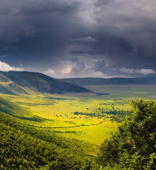 Ngorongoro